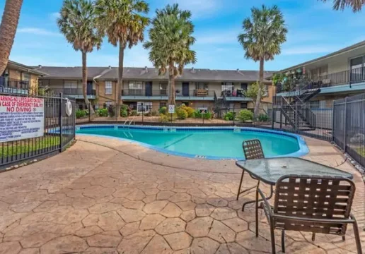 Palms at Chimney Rock