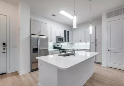 Live Oaks at the Branch