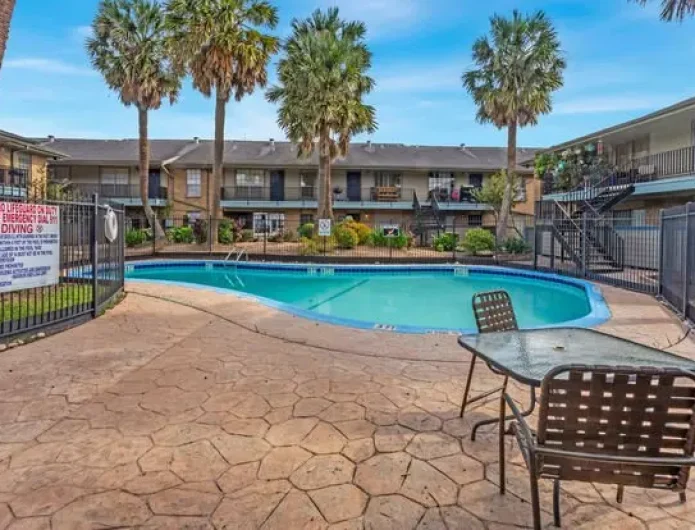 Palms at Chimney Rock